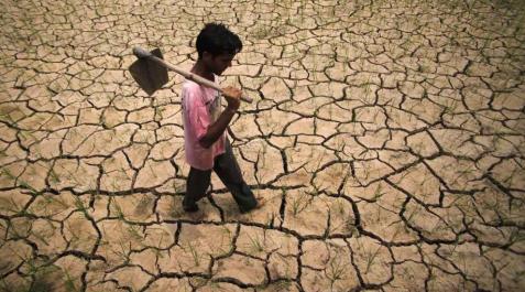 El cambio climático amenaza con volver inhabitable el sur de Asia para el año 2100 El cambio climático amenaza con volver inhabitable el sur de Asia para el año 2100