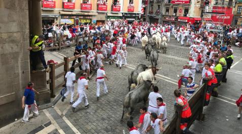 Imágenes del segundo encierro de los sanfermines 2019 protagonizado por toros de Cebada Gago.