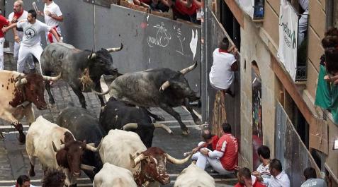 Varios mozos pisoteados en la curva de Mercaderes 'Rabanero' siembra de cornadas la carrera de Miura tras caer y correr solo desde Mercaderes