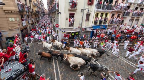 El año de los mansos en San Fermín El año de los mansos en San Fermín