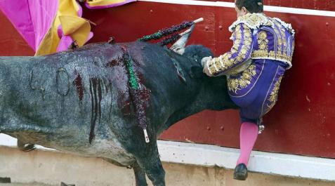 Rafaelillo, herido grave por una cornada en hemitórax izquierdo El torero ha sido atendido en la enfermería de la plaza de