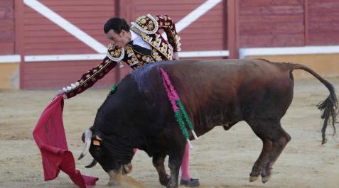 Finito de Córdoba, premio a la mejor faena de la feria Finito de Córdoba, premio a la mejor faena de la feria