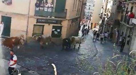 Sin sustos en el primer encierro de novillos de las fiestas de Estella Sin sustos en el primer encierro de novillos de las fiestas de Estella