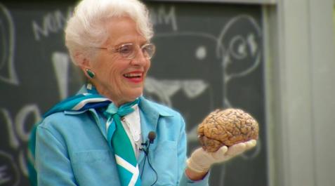 #LabMeCrazy! Science Film Festival premia un documental sobre Marian Diamond #LabMeCrazy! Science Film Festival premia un documental sobre Marian Diamond