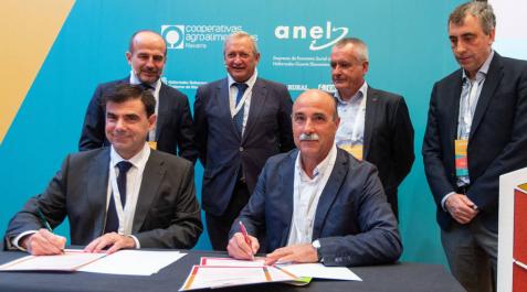 El cooperativismo equivale en Navarra al 12 por ciento del PIB El cooperativismo equivale en Navarra al 12 por ciento del PIB