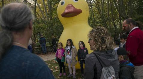 Todas las fotos de la II Estropatada de Pamplona, organizada por la Fundación WOP