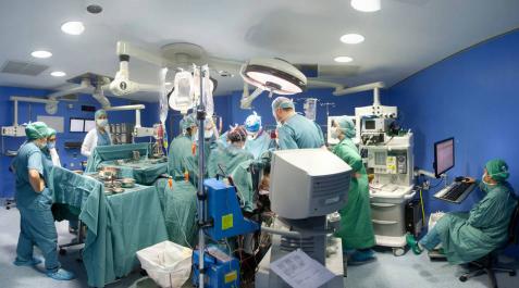 Año histórico en Navarra con 39 donantes y 84 trasplantes de órganos sólidos Año histórico en Navarra con 39 donantes y 84 trasplantes de órganos sólidos