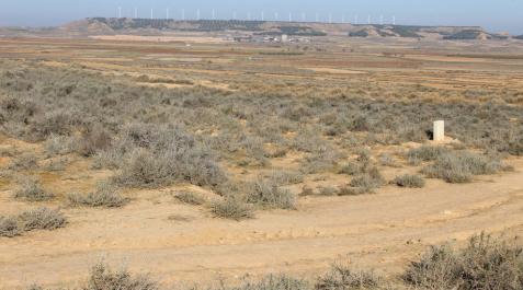 Enhol destina 55 millones a una planta solar y un parque eólico en Cascante Enhol destina 55 millones a una planta solar y un parque eólico en Cascante