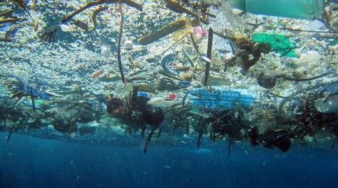 Los océanos, entre el plástico, la acidez y la sobrepesca Los océanos, entre el plástico, la acidez y la sobrepesca