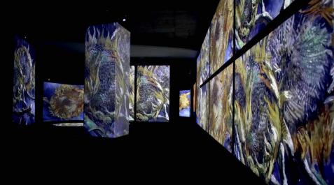 Fotos de la exposición 'Van Gogh Alive' en Pamplona La Sala de la Muralla de Baluarte acoge desde este sábado una muestra multisensorial en la que cobrará vida la obra del artista holandés gracias a las imágenes, luces y sonidos que acompañarán al espectador en un viaje por las etapas pictóricas de Van Gogh.