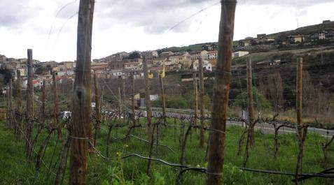 San Martín de Unx busca paliar la falta de relevo entre los viticultores San Martín de Unx busca paliar la falta de relevo entre los viticultores