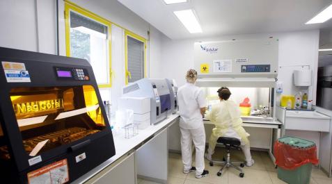 Laboratorio del CHN. Laboratorio del CHN.