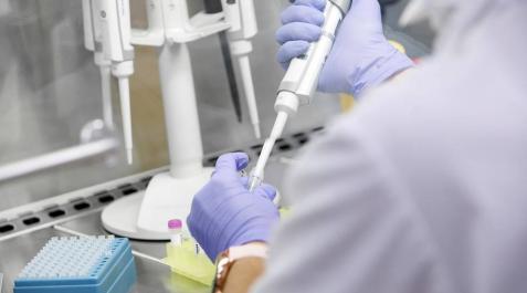 Se elevan a 46 los afectados por la epidemia de coronavirus en Navarra Se elevan a 46 los afectados por la epidemia de coronavirus en Navarra