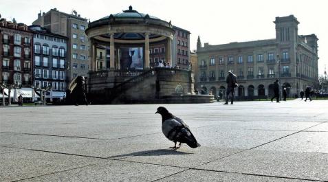 Una paloma, delante del kiosko de la Plaza del Castillo. Una paloma, delante del kiosko de la Plaza del Castillo.