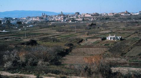 Ríos Renovables invertirá 52,7 millones en un parque solar en Corella Ríos Renovables invertirá 52,7 millones en un parque solar en Corella