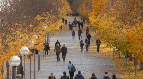 La UPNA abre el plazo de ayudas para el pago de matrículas destinadas a estudiantes con dificultades económicas La UPNA abre el plazo de ayudas para el pago de matrículas destinadas a estudiantes con dificultades económicas