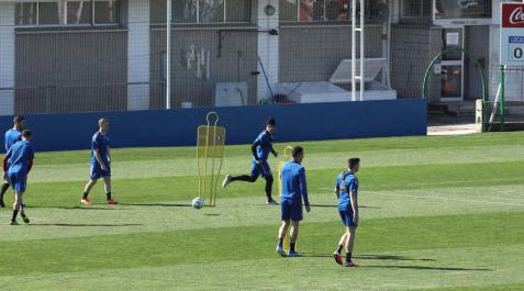 Osasuna anuncia el cese de la actividad de todos sus equipos Osasuna anuncia el cese de la actividad de todos sus equipos