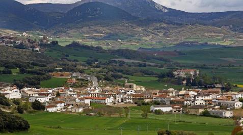 Detenido un joven por agredir a otro en las fiestas de Abárzuza Detenido un joven por agredir a otro en las fiestas de Abárzuza