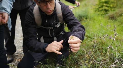 Oscar Pérez Andueza, en una de las excursiones que guía por el monte Ezkaba. Muestra una Pimpinela. Oscar Pérez Andueza, en una de las excursiones que guía por el monte Ezkaba. Muestra una Pimpinela.