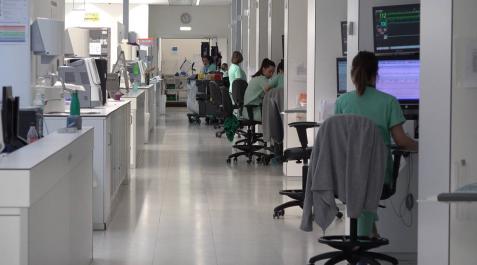 Navarra suma 12 nuevos casos de coronavirus y alcanza los 73 Navarra suma 12 nuevos casos de coronavirus y alcanza los 73