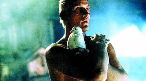Cine imprescindible: 'Blade Runner' Cine imprescindible: 'Blade Runner'