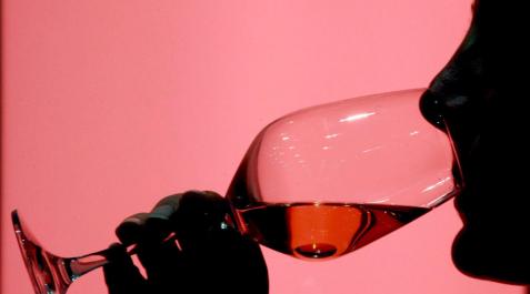 Consejos para aprendices en una cata de vino Consejos para aprendices en una cata de vino