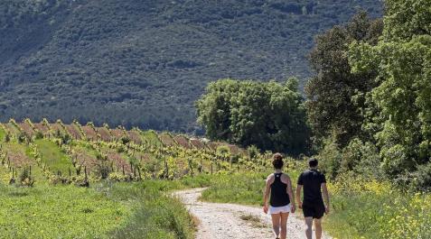 Fotos: Los navarros salen a la calle a pasear y hacer deporte. MONTXO A.G. Imágenes de la jornada del 2 de mayo, en la que los navarros pueden salir a la calle a pasear y hacer deporte entre las 6 y las 10 de la mañana, y las 20 y las 23 de la noche.