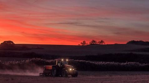 Navarra convoca las ayudas a la primera instalación para jóvenes agricultores Navarra convoca las ayudas a la primera instalación para jóvenes agricultores