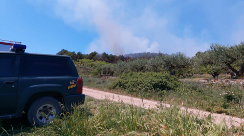 Fotos del incendio forestal en Los Arcos Fotos del incendio forestal que ha dejado una víctima mortal en Los Arcos.