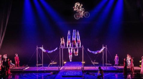 El Circo del Sol vuelve a Pamplona con 'Corteo' El Circo del Sol regresará a Pamplona en las Navidades de 2020. La compañía representará su espectáculo 'Corteo' en el pabellón Navarra Arena del 25 de diciembre de 2020 al 3 de enero del 2021.