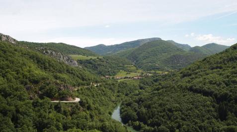 Masas boscosas en Aezkoa desde el mirador de Ariztokia sobre el Irati. Masas boscosas en Aezkoa desde el mirador de Ariztokia sobre el Irati.