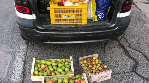 Localizados en Lodosa 120 kilos de alimentos de origen desconocido y sin trazabilidad sanitaria Localizados en Lodosa 120 kilos de alimentos de origen desconocido y sin trazabilidad sanitaria