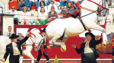 El caballo, icono del temple y la belleza andaluza El caballo, icono del temple y la belleza andaluza