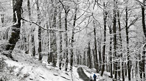 La alerta por nieve se prolonga a hoy y los copos podrán caer a 500 metros La alerta por nieve se prolonga a hoy y los copos podrán caer a 500 metros