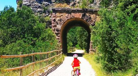 Navarra prepara un plan específico para organizar e impulsar el cicloturismo Navarra prepara un plan específico para organizar e impulsar el cicloturismo