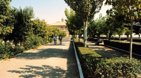 La Vía Verde del Tarazonica, entre frutales y monumentos La Vía Verde del Tarazonica, entre frutales y monumentos