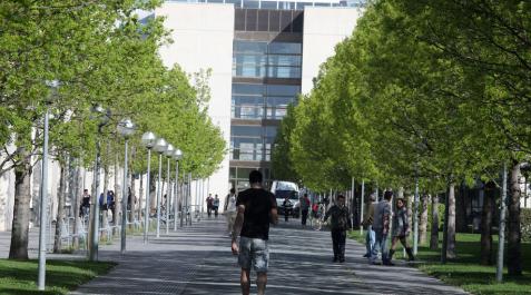 Estudiantes en el campus de la UPNA Estudiantes en el campus de la UPNA