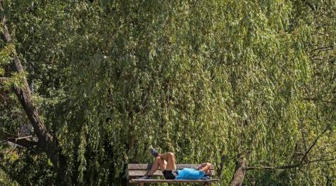 El fin de semana será soleado y veraniego en Navarra El fin de semana será soleado y veraniego en Navarra