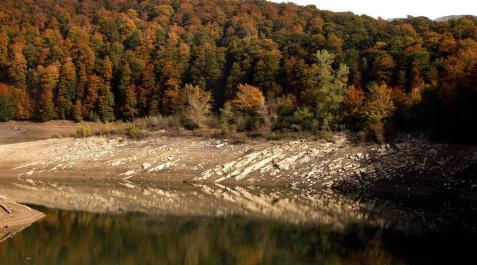 Fotografía de la Selva de Irati, lugar por donde discurre el sendero Los Paraísos, en otoño. Fotografía de la Selva de Irati, lugar por donde discurre el sendero Los Paraísos, en otoño.