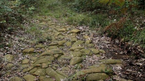 Cuatro ayuntamientos de Sakana se unen para revitalizar una calzada medieval Cuatro ayuntamientos de Sakana se unen para revitalizar una calzada medieval