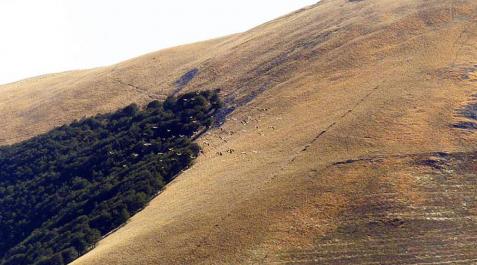 Más de 400.000 aves migratorias de 83 especies pasaron por Lindus Más de 400.000 aves migratorias de 83 especies pasaron por Lindus