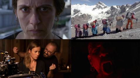 Quince películas navarras presentan candidatura a los Goya Quince películas navarras presentan candidatura a los Goya