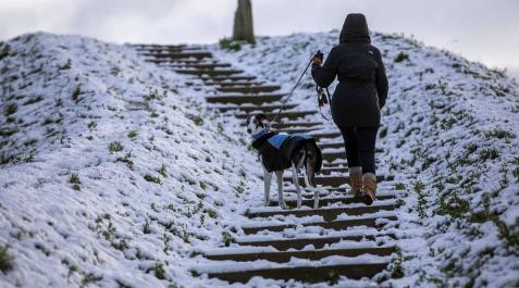 Nieve en el inicio de 2021 en Navarra La nieve es la protagonista este 2 de enero en la Comunidad foral, que se encuentra en alerta amarilla