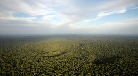 El Amazonas, amenazado por un círculo vicioso de sequía y deforestación El Amazonas, amenazado por un círculo vicioso de sequía y deforestación