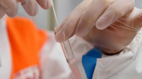 Consulta aquí las zonas y localidades más afectadas por el coronavirus en Navarra este domingo Consulta aquí las zonas y localidades más afectadas por el coronavirus en Navarra este domingo