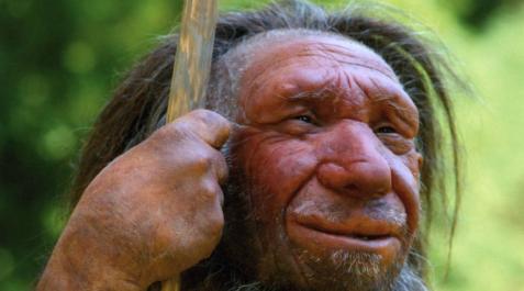 Los neandertales hicieron joyas hace 130.000 años Los neandertales hicieron joyas hace 130.000 años