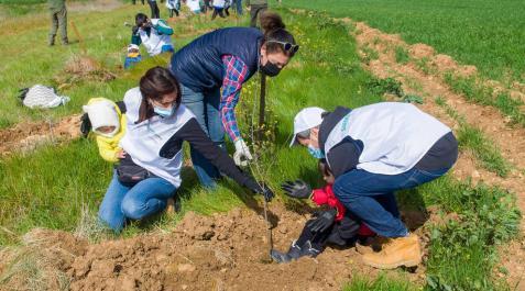 Un centenar de empleados de Siemens Gamesa plantan 1.000 árboles en Mendaza