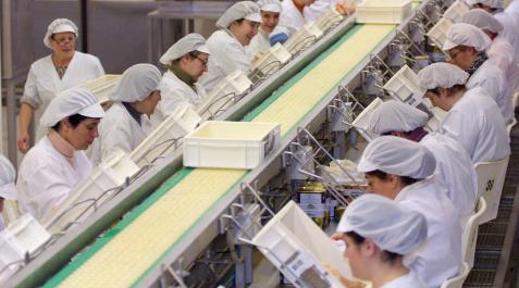 Mujeres trabajando en una conservera Mujeres trabajando en una conservera