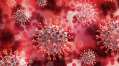 Los resfriados por otros coronavirus podrían generar cierta protección ante el Covid-19 Los resfriados por otros coronavirus podrían generar cierta protección ante el Covid-19