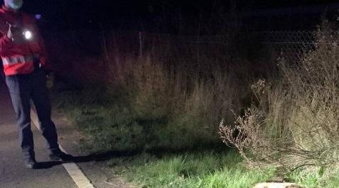 Policía Foral atiende tres accidentes con animales en menos de media hora Policía Foral atiende tres accidentes con animales en menos de media hora